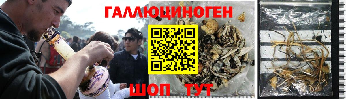 Псилоцибиновые грибы MAGIC MUSHROOMS  Вход с VPN  Богородицк  Галлюциногенные грибы Psilocybe 